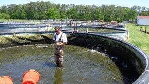 Worker standing in an outdoor pond.